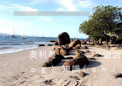 奧利粵、治治、康帥博…當(dāng)知識(shí)產(chǎn)權(quán)遇上3·15